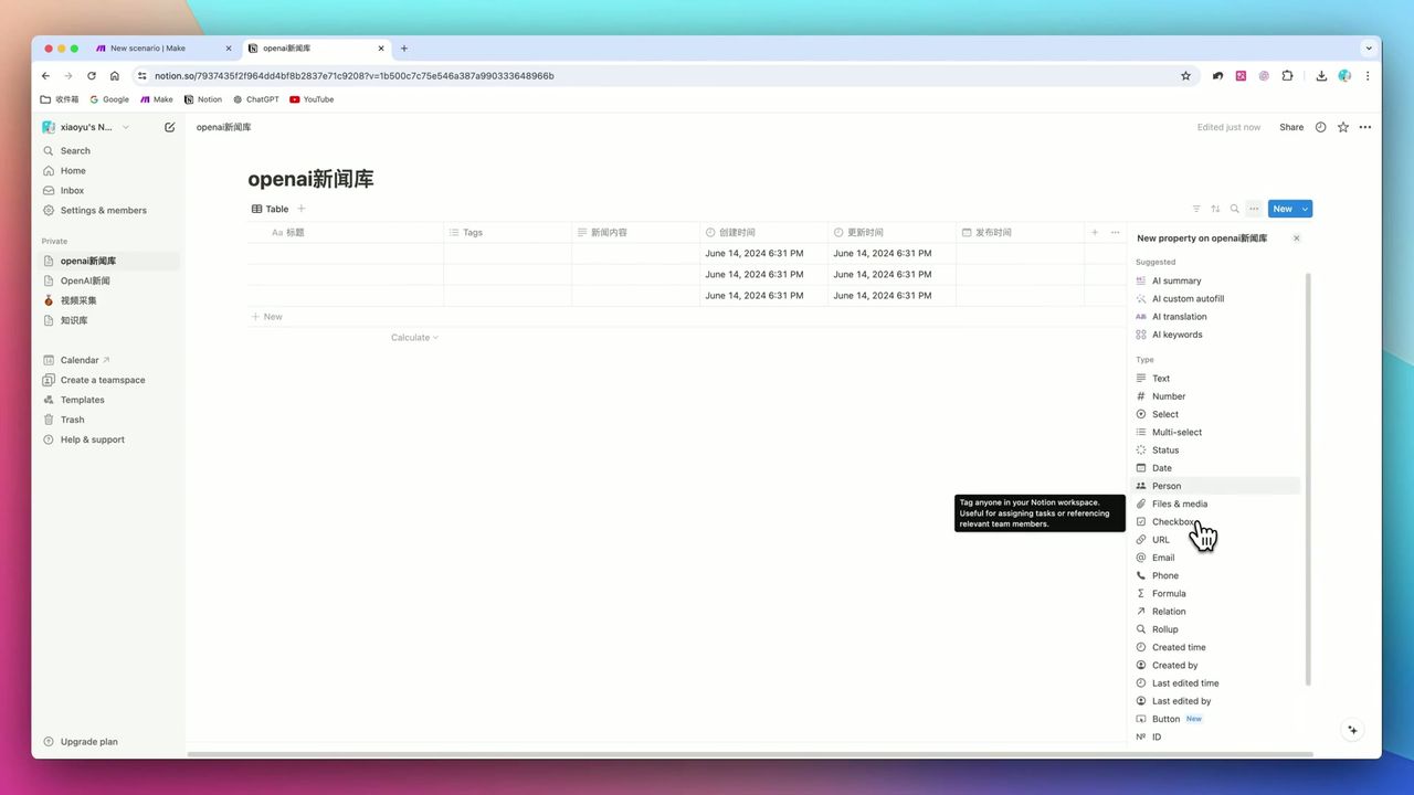 Notion数据库字段配置